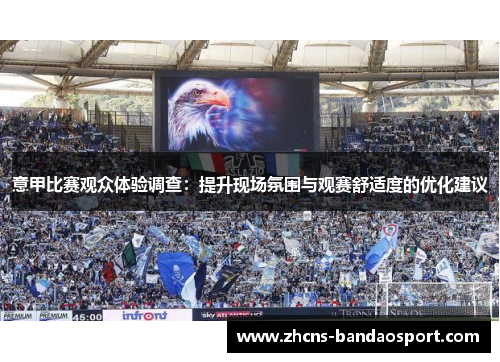 意甲比赛观众体验调查：提升现场氛围与观赛舒适度的优化建议
