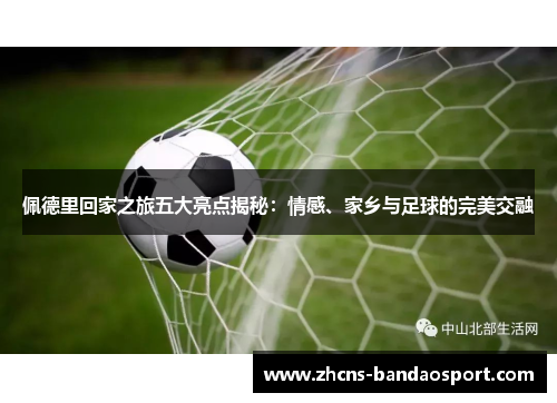 佩德里回家之旅五大亮点揭秘：情感、家乡与足球的完美交融