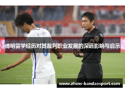 傅明留学经历对其裁判职业发展的深远影响与启示