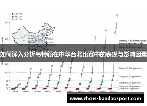 如何深入分析韦特领在中华台北比赛中的表现与影响因素