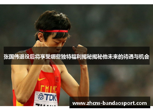 张国伟退役后将享受哪些独特福利揭秘揭秘他未来的待遇与机会