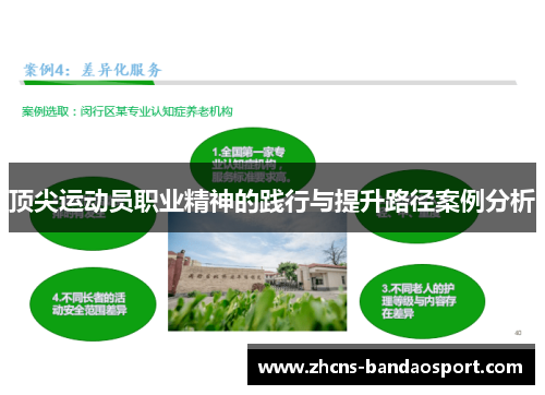 顶尖运动员职业精神的践行与提升路径案例分析 顶尖运动员职业精神的践行与提升路径案例分析